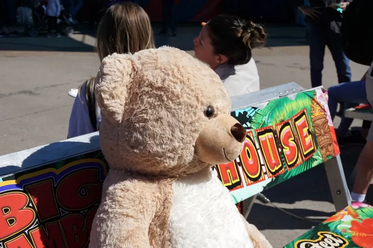 Los Mejores Peluches para Regalar el 14 de Febrero en 2024: Amor y Ternura de Felpa